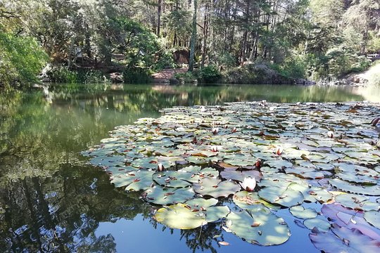 Tour image 8