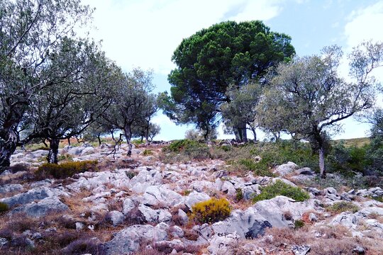 Tour image 6