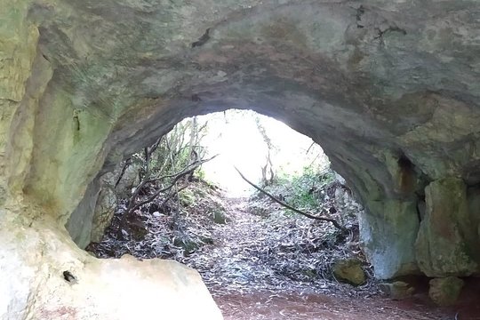 Tour image 13